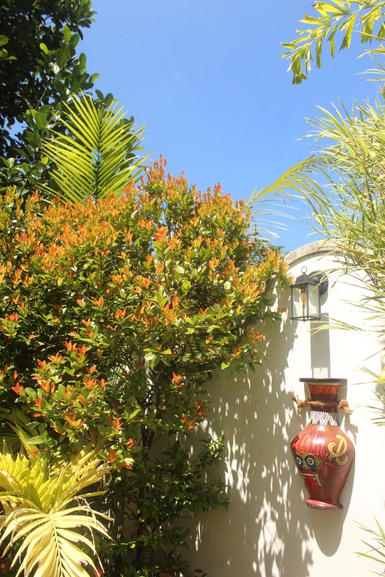 Villa Olde Ceylon Канди Экстерьер фото