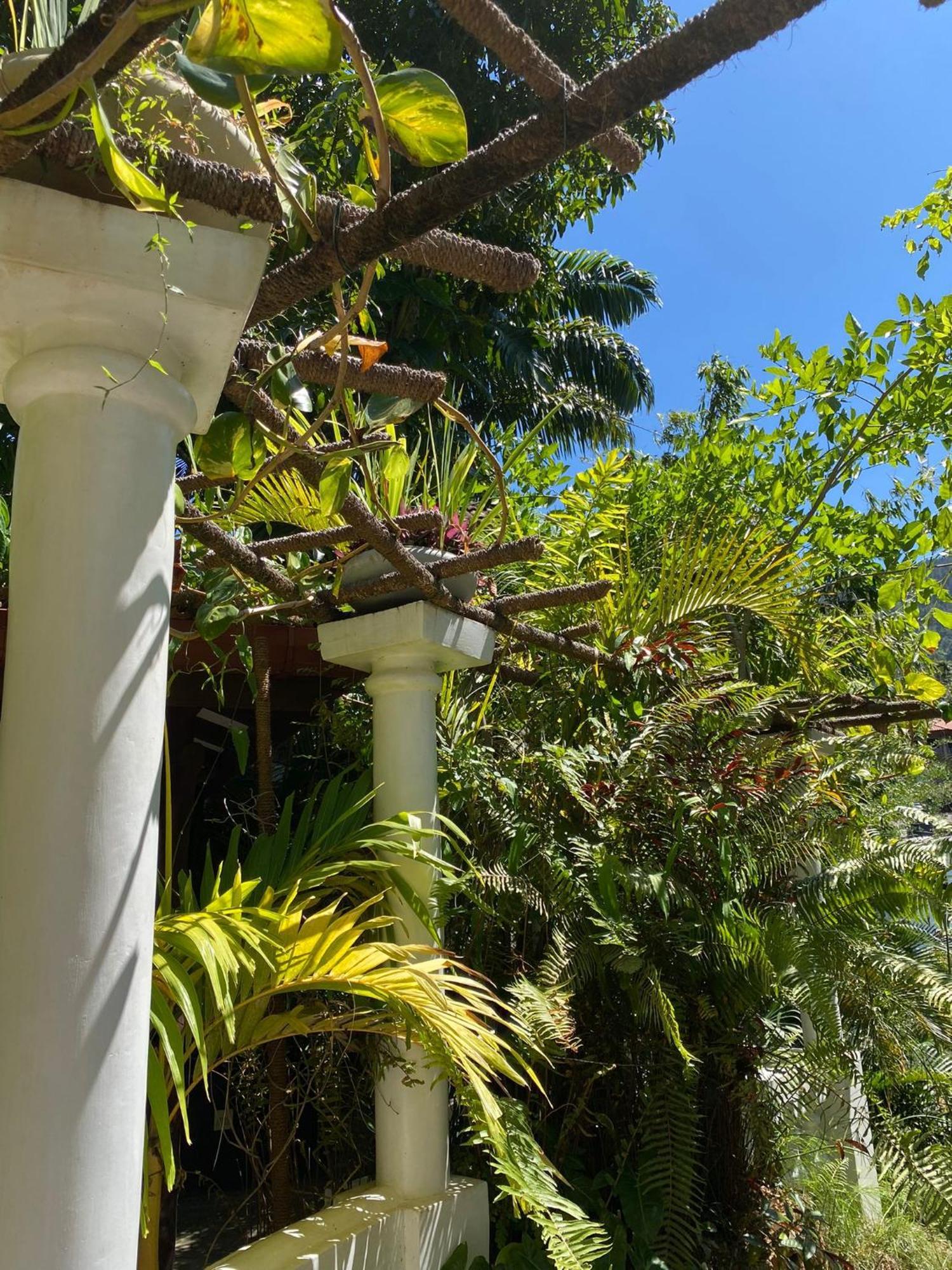 Villa Olde Ceylon Канди Экстерьер фото